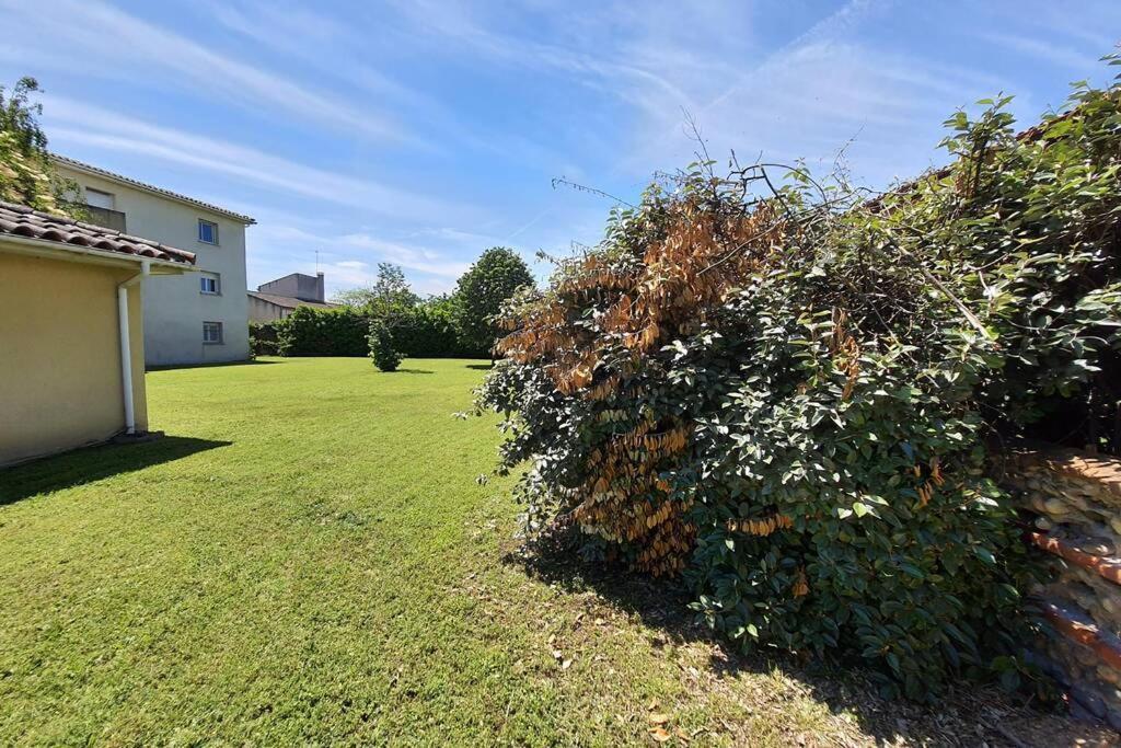 Charmant Appartement Avec Terrasse Et Jardin Au Calme Proche Bus Metro Toulouse Exterior foto